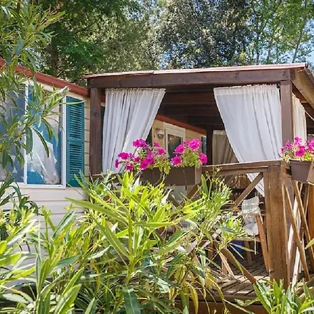 Standard Mobile Home 1 Resort