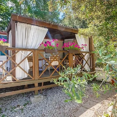 Standard Mobile Home 1 *